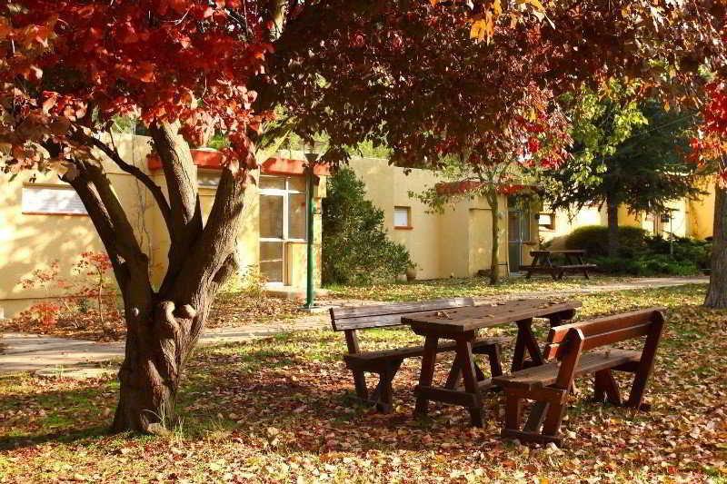 Merom Golan Resort エクステリア 写真