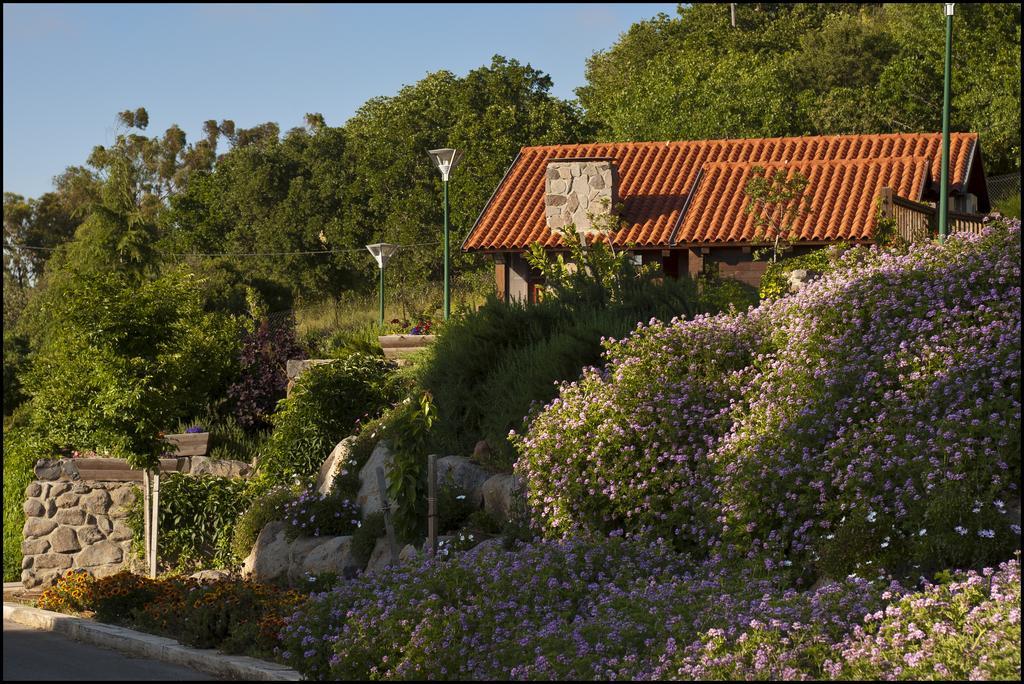 Merom Golan Resort エクステリア 写真
