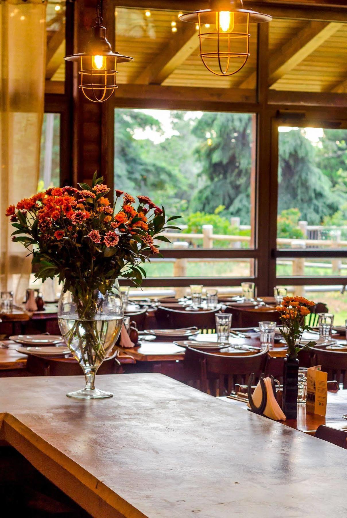 Merom Golan Resort エクステリア 写真